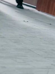 Episodio 50 - El Regreso de Emiliano