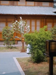 第49集 - 我冷漠我無情我有壹劍攪風雲