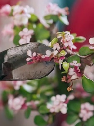 第70集 - 我冷漠我無情我有壹劍攪風雲