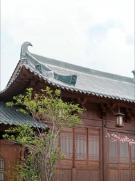 我冷漠我無情我有壹劍攪風雲 - Episode 62