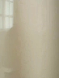 Episode 38 - Love, Power and the Lie