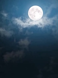 [مدبلج]جنون زوج الأميرة بعد زواج بديل - Episode 12