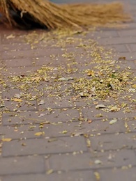 Fate's Unbroken Threads - Episode 1