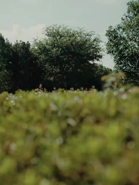 Tập 43 - Tìm Lại Tình Yêu