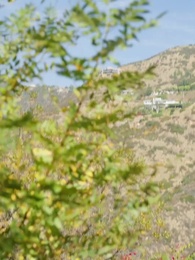 Tidur dengan Sahabat Suamiku - Episode 1