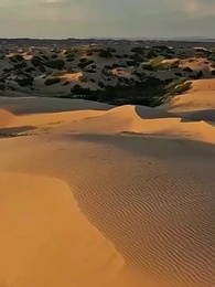 Tập 57 - [Lồng tiếng]Trùng Sinh Cải Mệnh