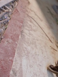 Épisode 56 - Herbes Vertes au Bord de l’Eau