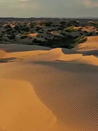 [더빙]오라버니, 저 파혼하겠습니다 - Episode 57