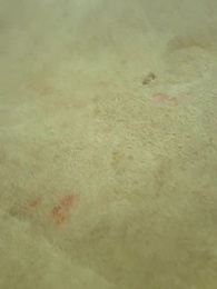 Episodio 19 - [Doppiato]Ritorno del Dio della Guerra