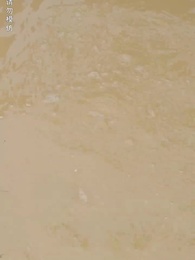 第2集 - 替身神豪