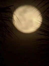 Episodio 10 - Un Cuore per la Corona