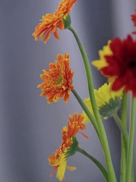 [Dublado]A Noiva Fuja do CEO - Episode 52