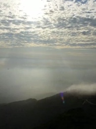 第41集 - 滿級老祖宗