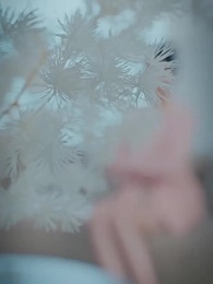 هل كشفت السيدة ليان عن حقيقتها - Episode 54