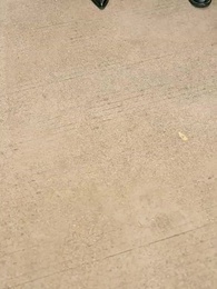 Episodio 25 - Segunda Oportunidad: Mi Esposa Me Echó