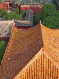 Tập 49 - Cuộc Chiến Hậu Cung