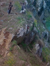 第63集 - 報得三春暉