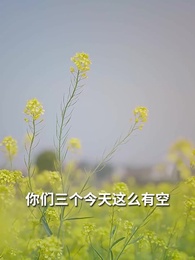 第12集 - 報得三春暉