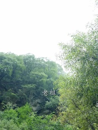 第19集 - 滿級老祖宗