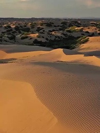 代妹和親後駙馬急瘋了 - Episode 57