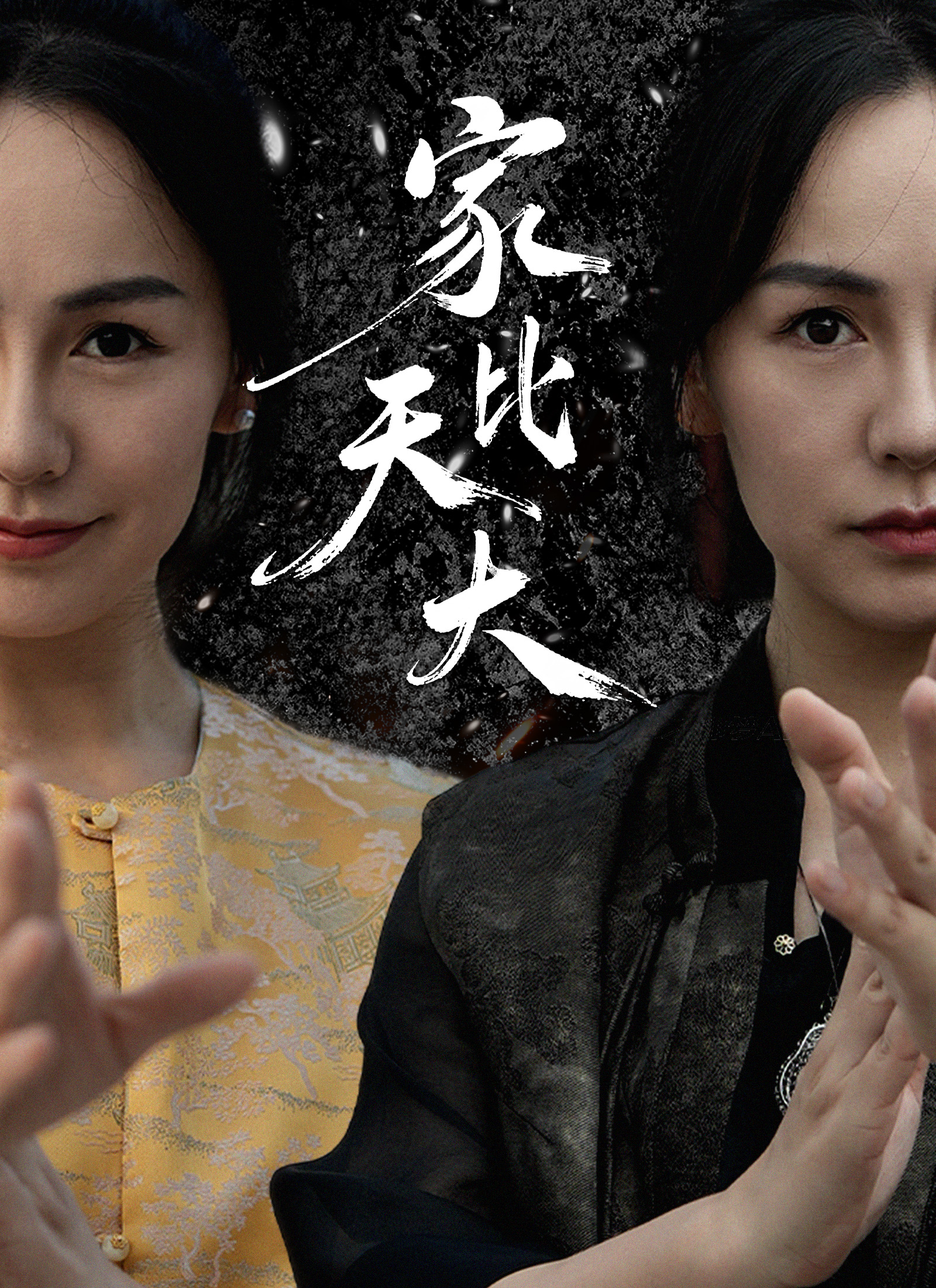 《家比天大》封面