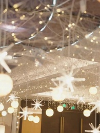 Come Back, My Runaway Bride - Episode 194