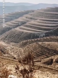 第2集 - 義無反顧的愛