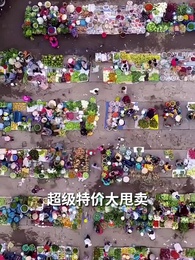 破產老媽竟是世界首富 - Episode 1