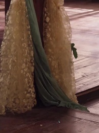 第63集 - 紅顏登科錄