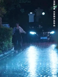 歲歲年年常歡見 - Episode 23