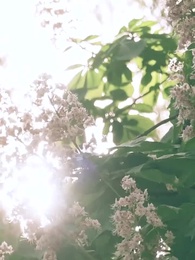 紅顏登科錄 - Episode 7