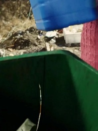 Episodio 11 - Cuando Florece la Esperanza