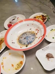 Episode 5 - My Daughter is the Cure