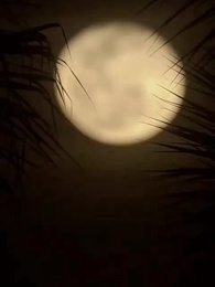 10화 - 나의 두 번째 선택