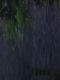 第1集 - 歲歲年年常歡見