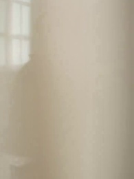 第38集 - 唯願此生共白頭