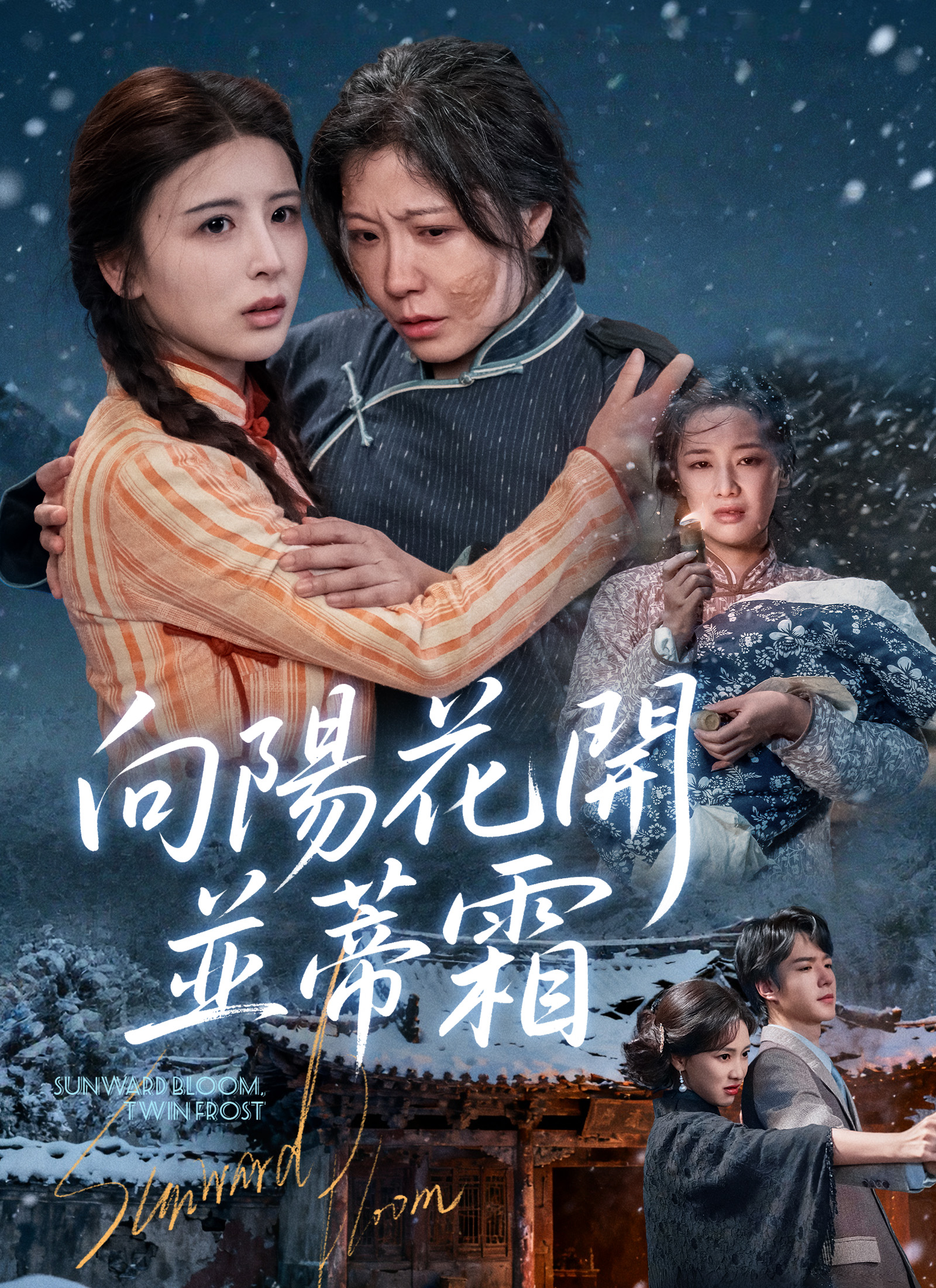 《向陽花開並蒂霜》封面