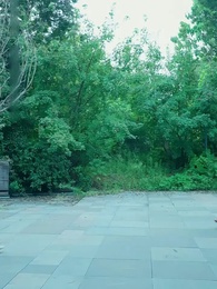 第88話 - 奇術宝探し