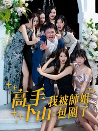高手下山,我被師姐包圍了