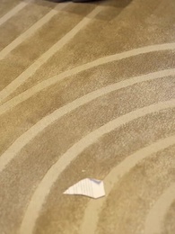 Episode 59 - Der Fischhändler ist mein Milliardär