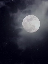 Entre Redes y Secretos - Episode 38