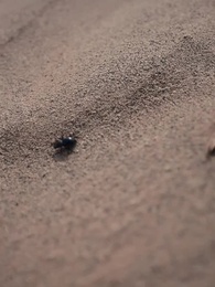 同福客棧 - Episode 20