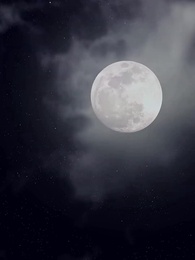 Épisode 38 - Mon Poissonnier, Mon Milliardaire