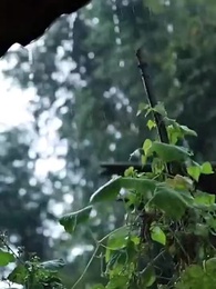 第15集 - 愛意成碑