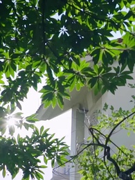 Tập 48 - Bí Mật Chốn Công Sở