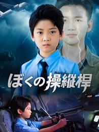ぼくの操縦桿
