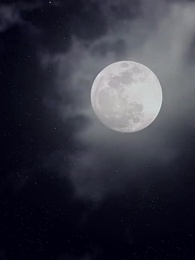 Der Fischhändler ist mein Milliardär - Episode 38