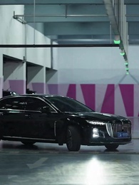 婿養子を捨てたら、裏社会の帝王が狂った - Episode 56