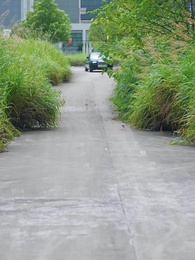 第48集 - 退休後被他纏上了