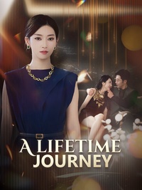 A Lifetime Journey poster